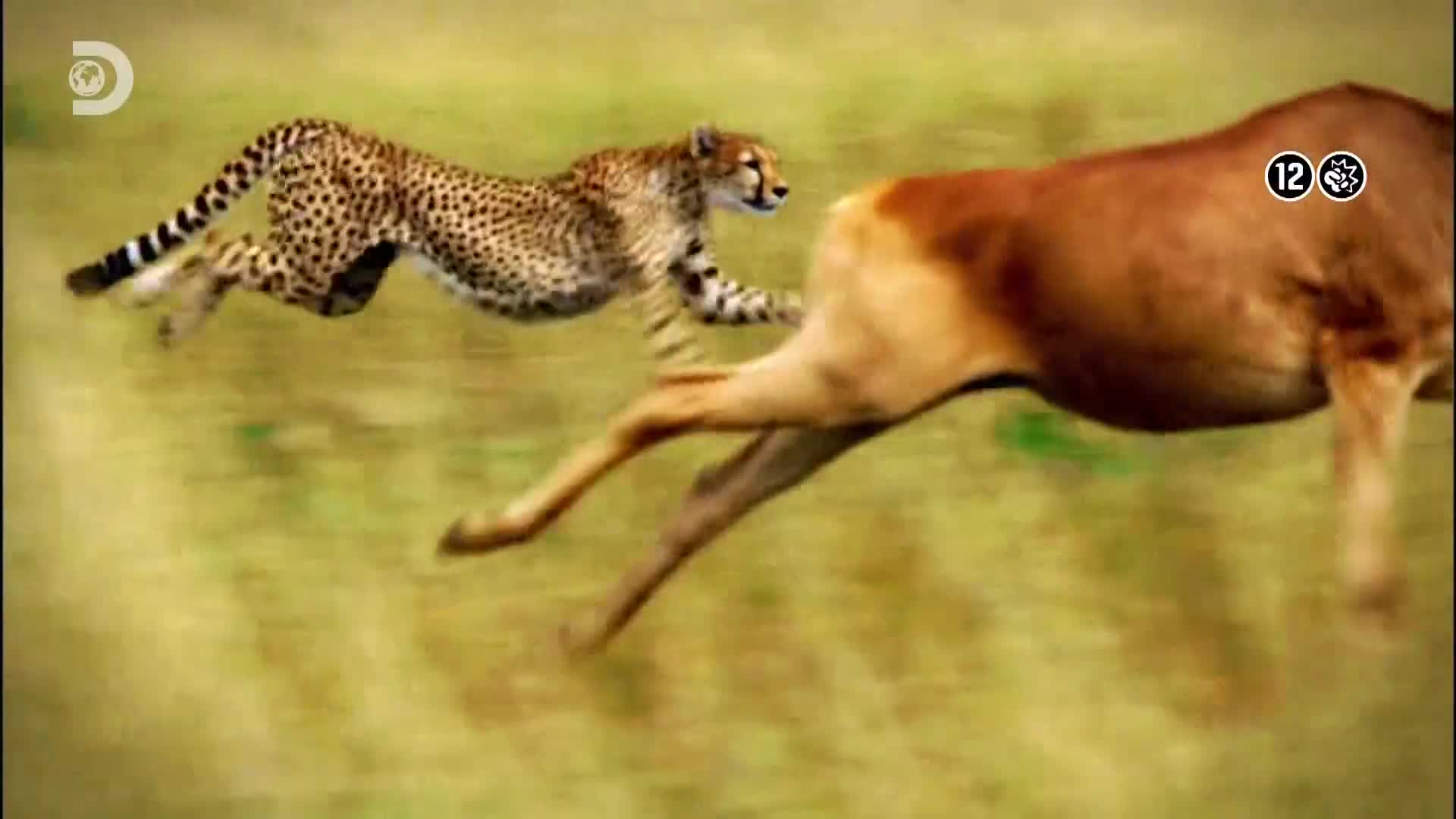 ViasatExplorer