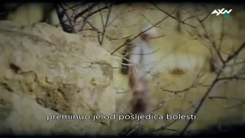 AXNSpin