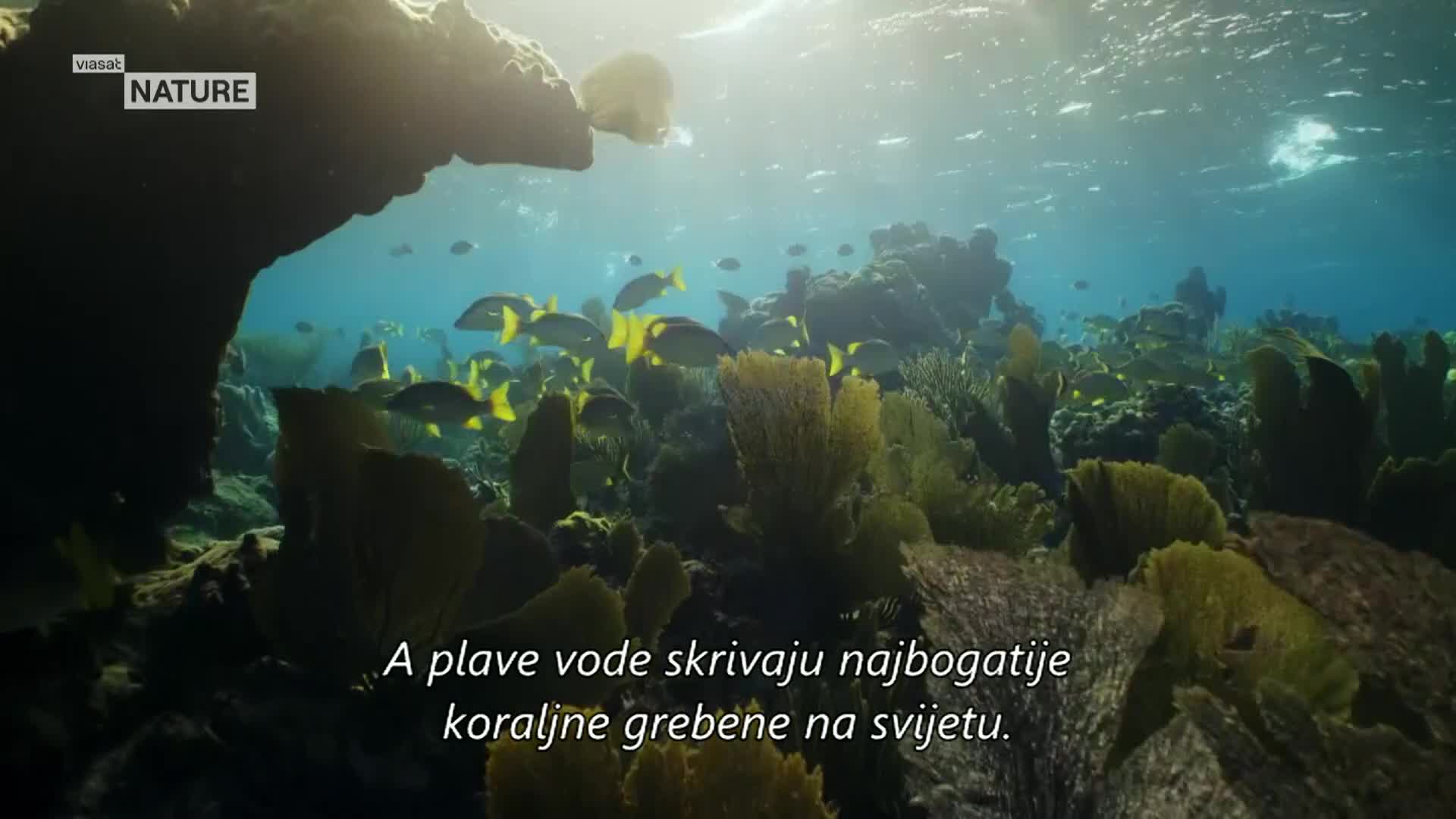 ViasatNature