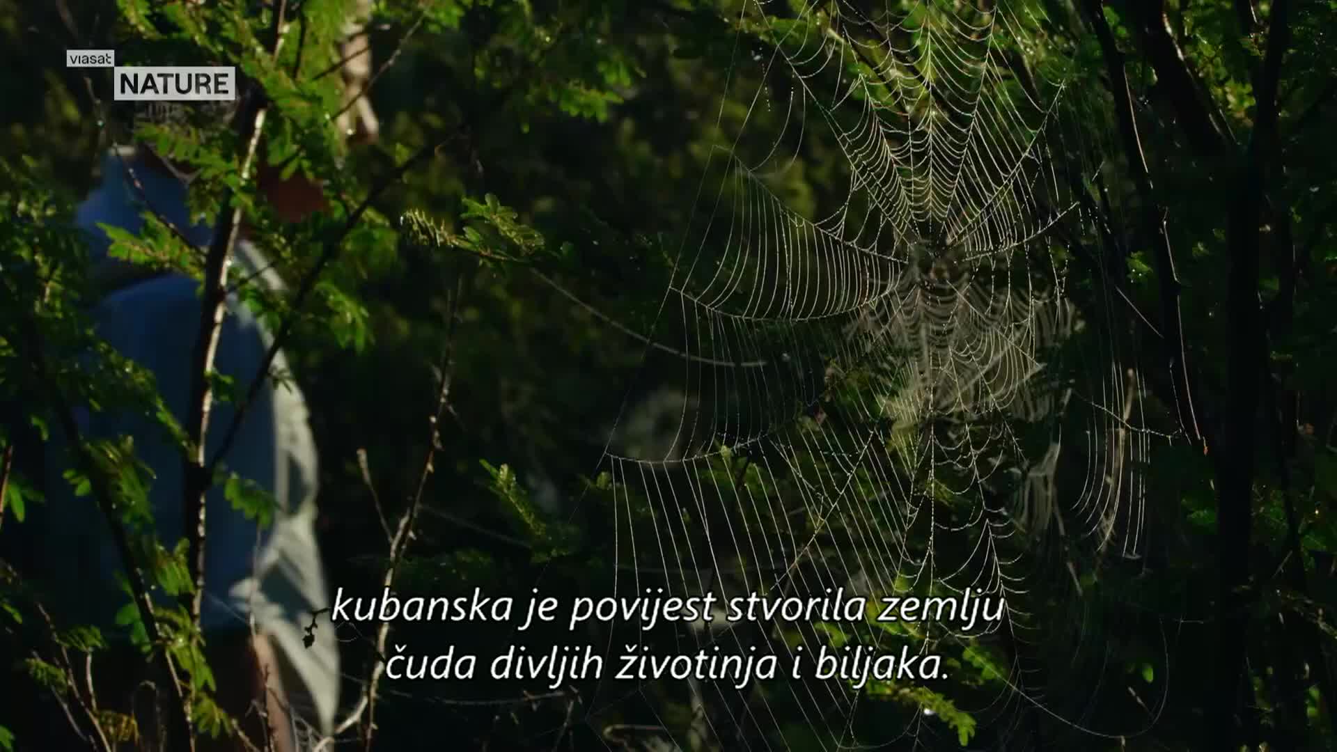 ViasatNature