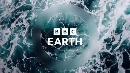 BBCEarth