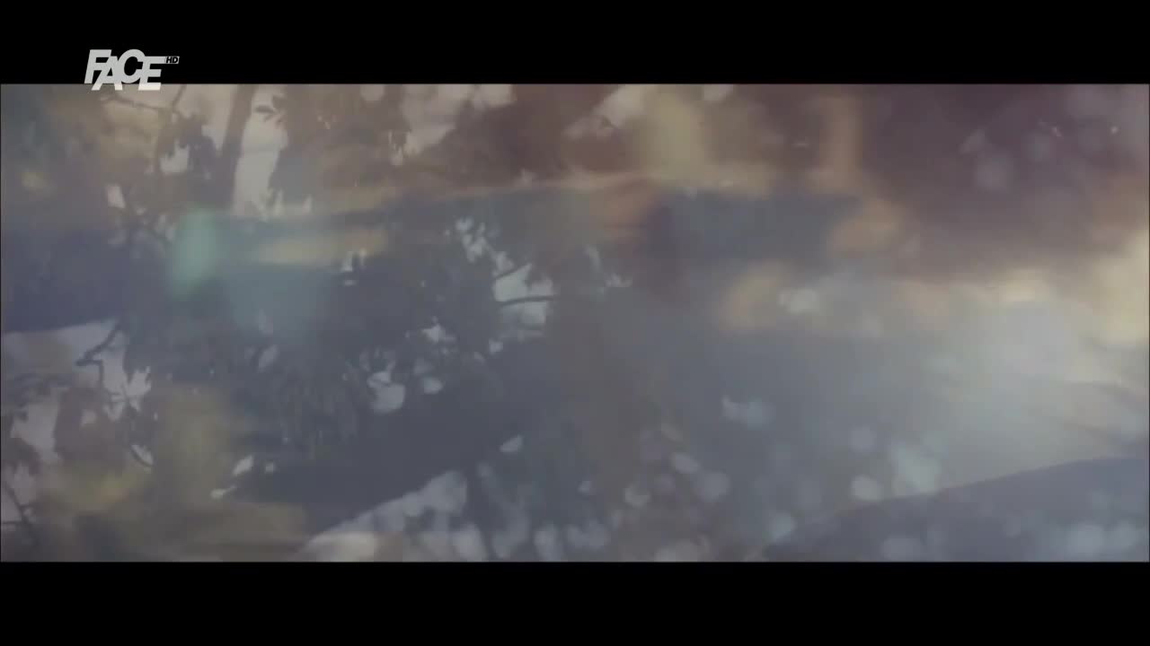 FaceTV