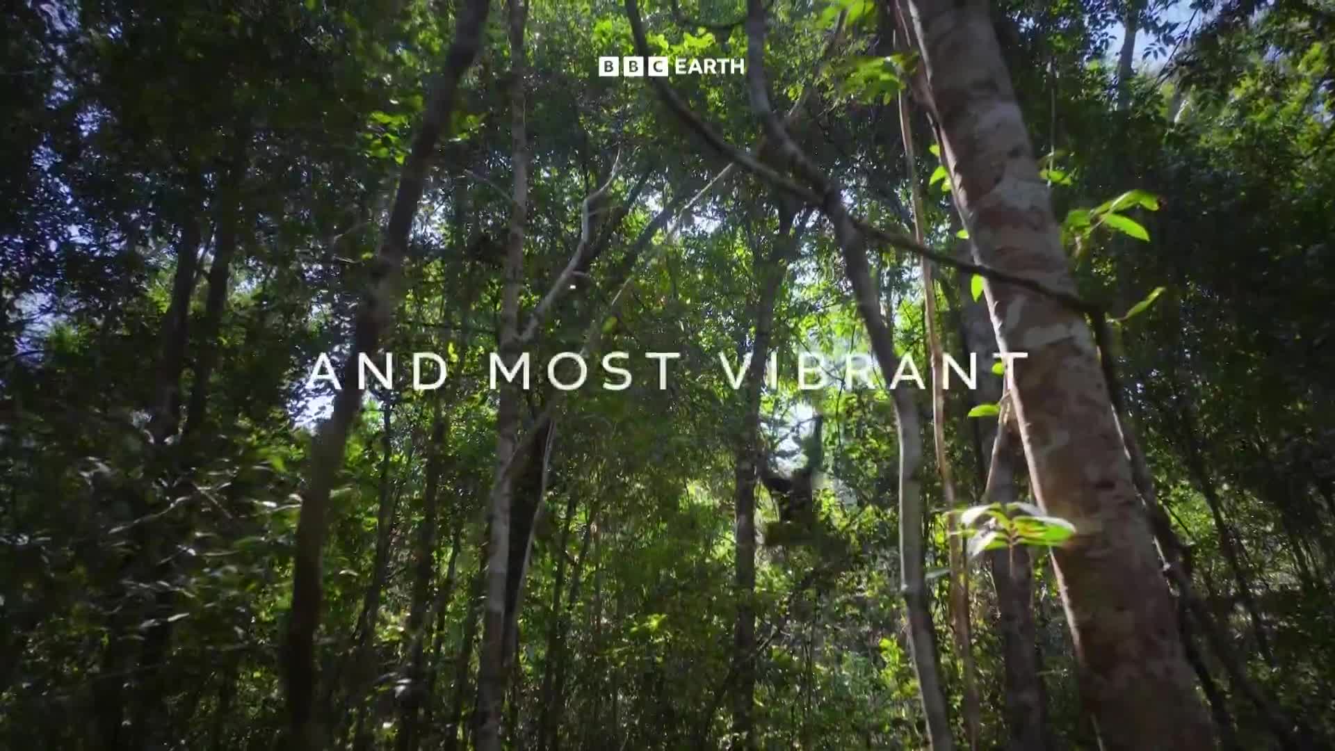 BBCEarth