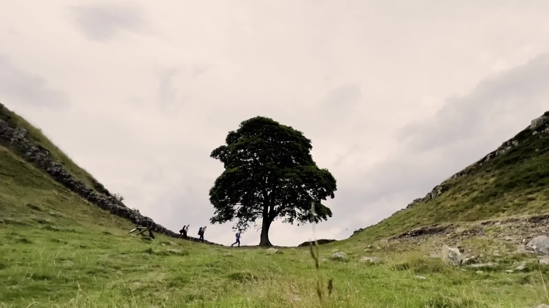 BBCEarth