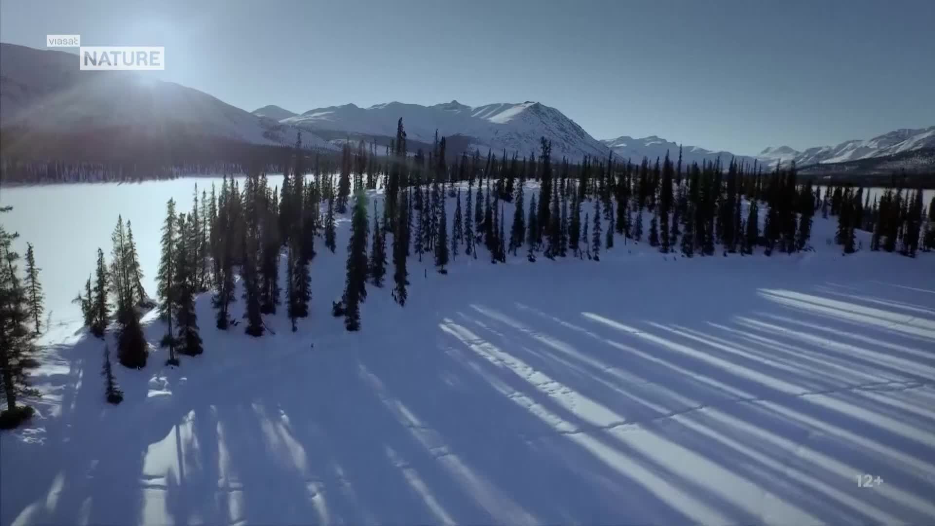 ViasatNature
