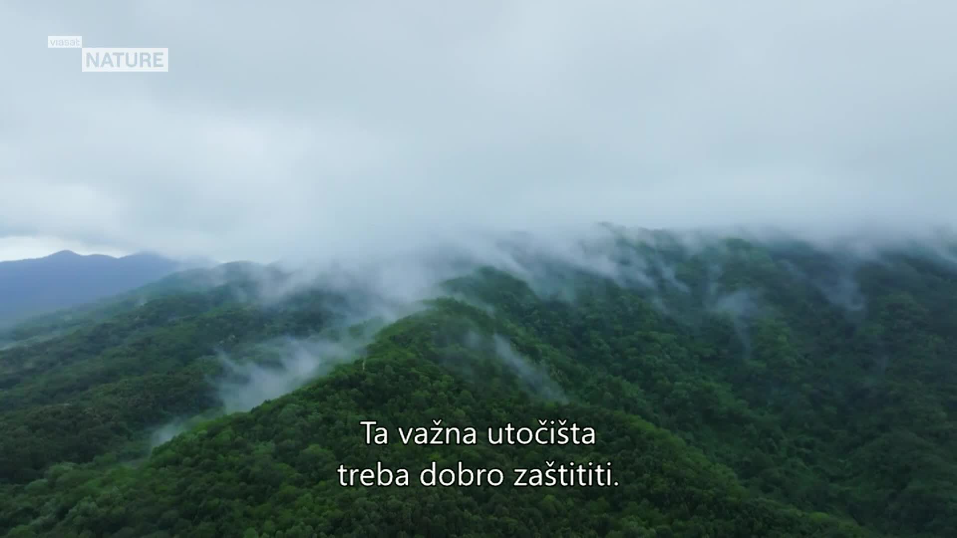ViasatNature