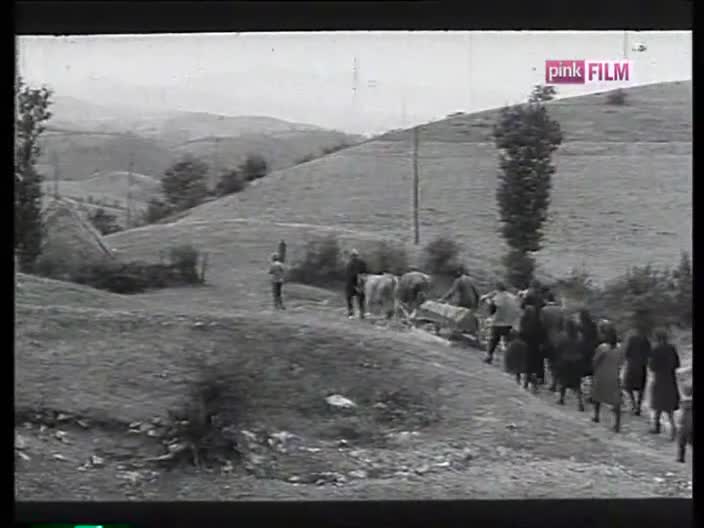 PinkFilm