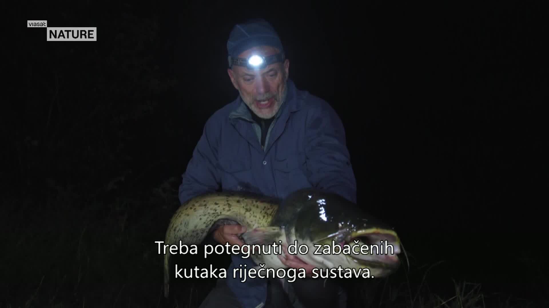 ViasatNature