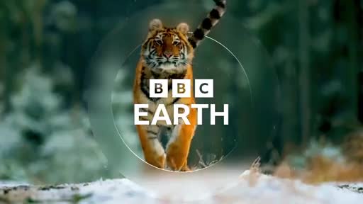 BBCEarth
