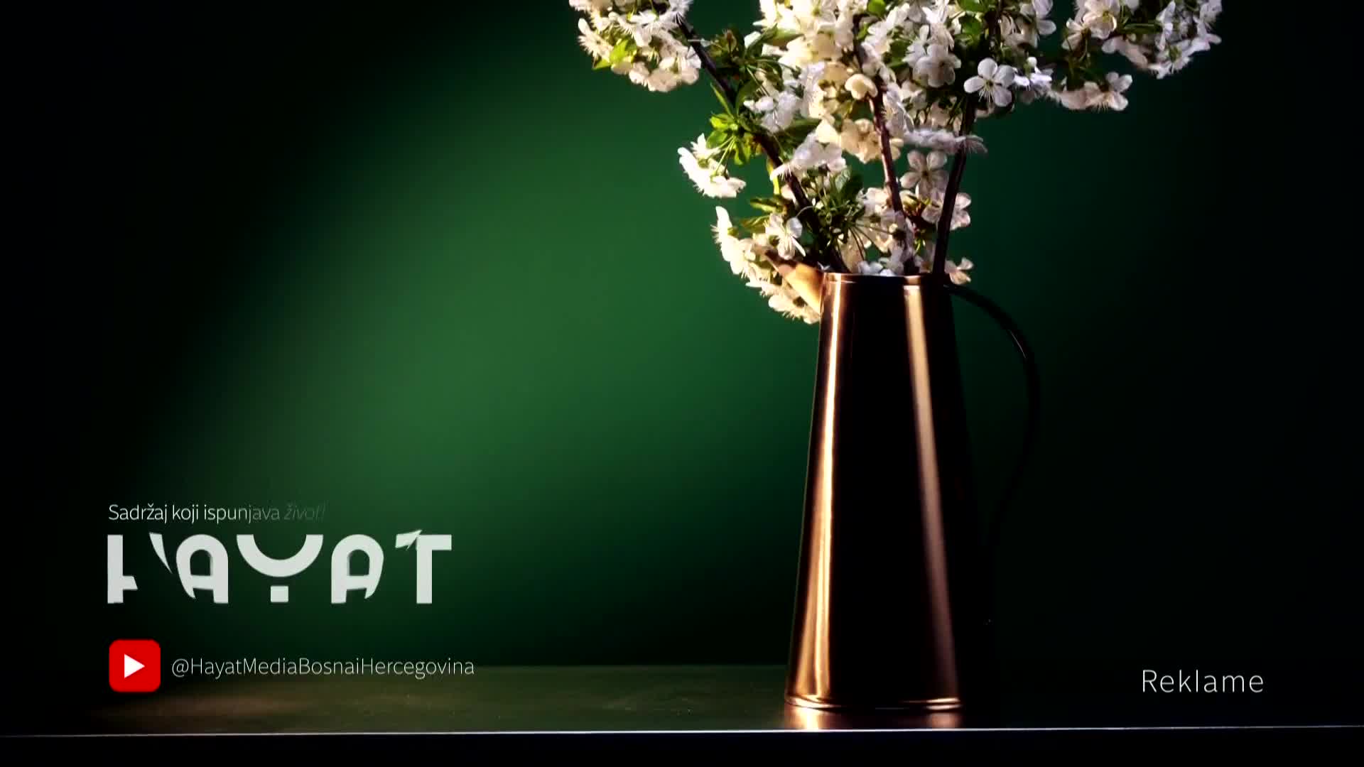 hayat