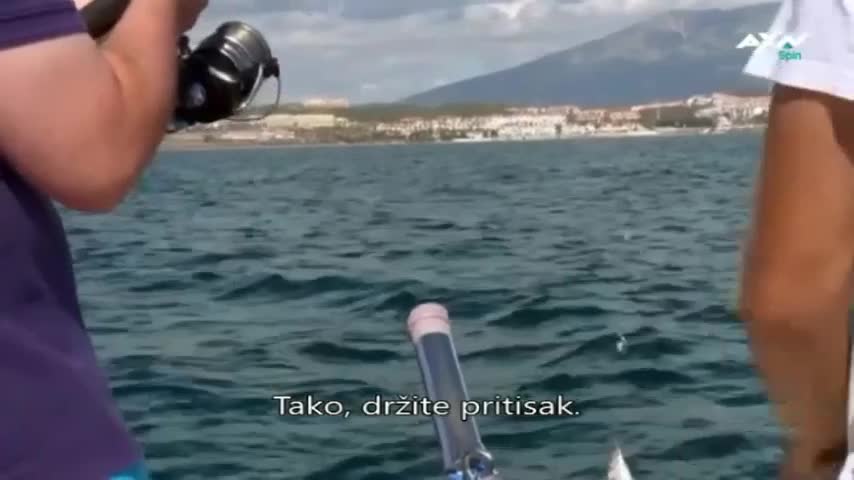 AXNSpin