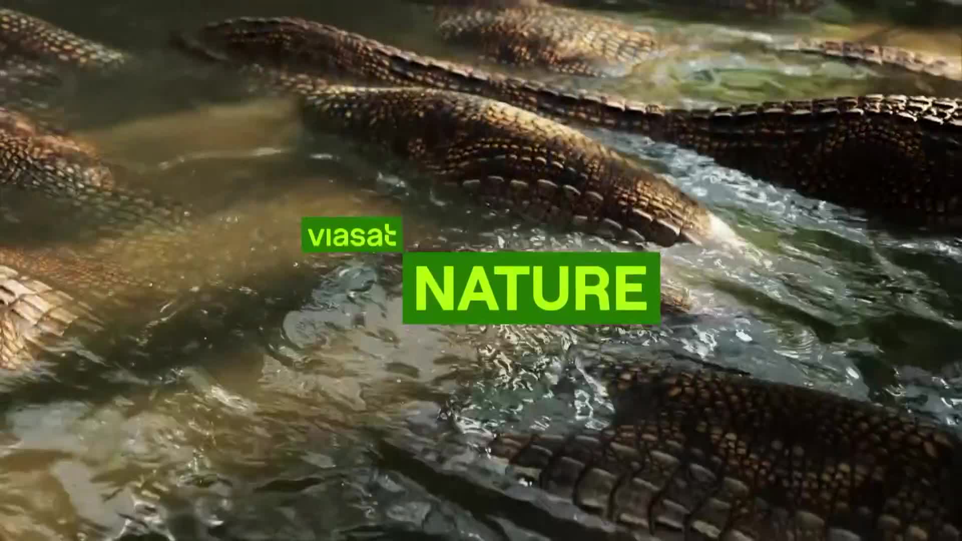 ViasatNature