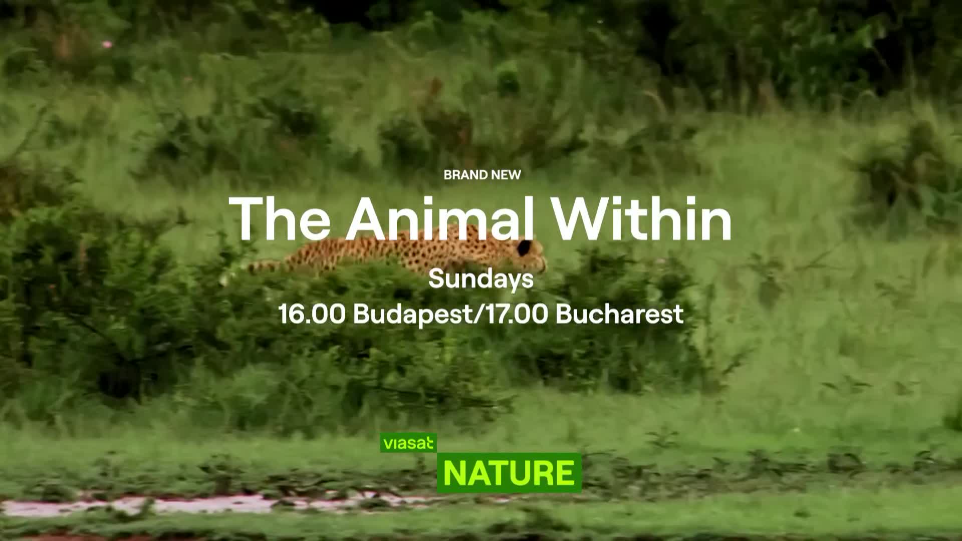 ViasatNature