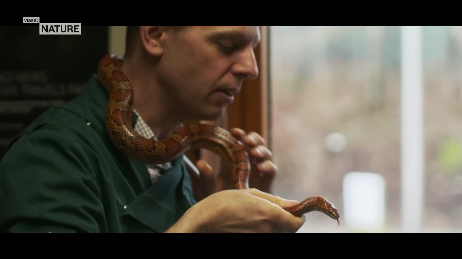 ViasatNature