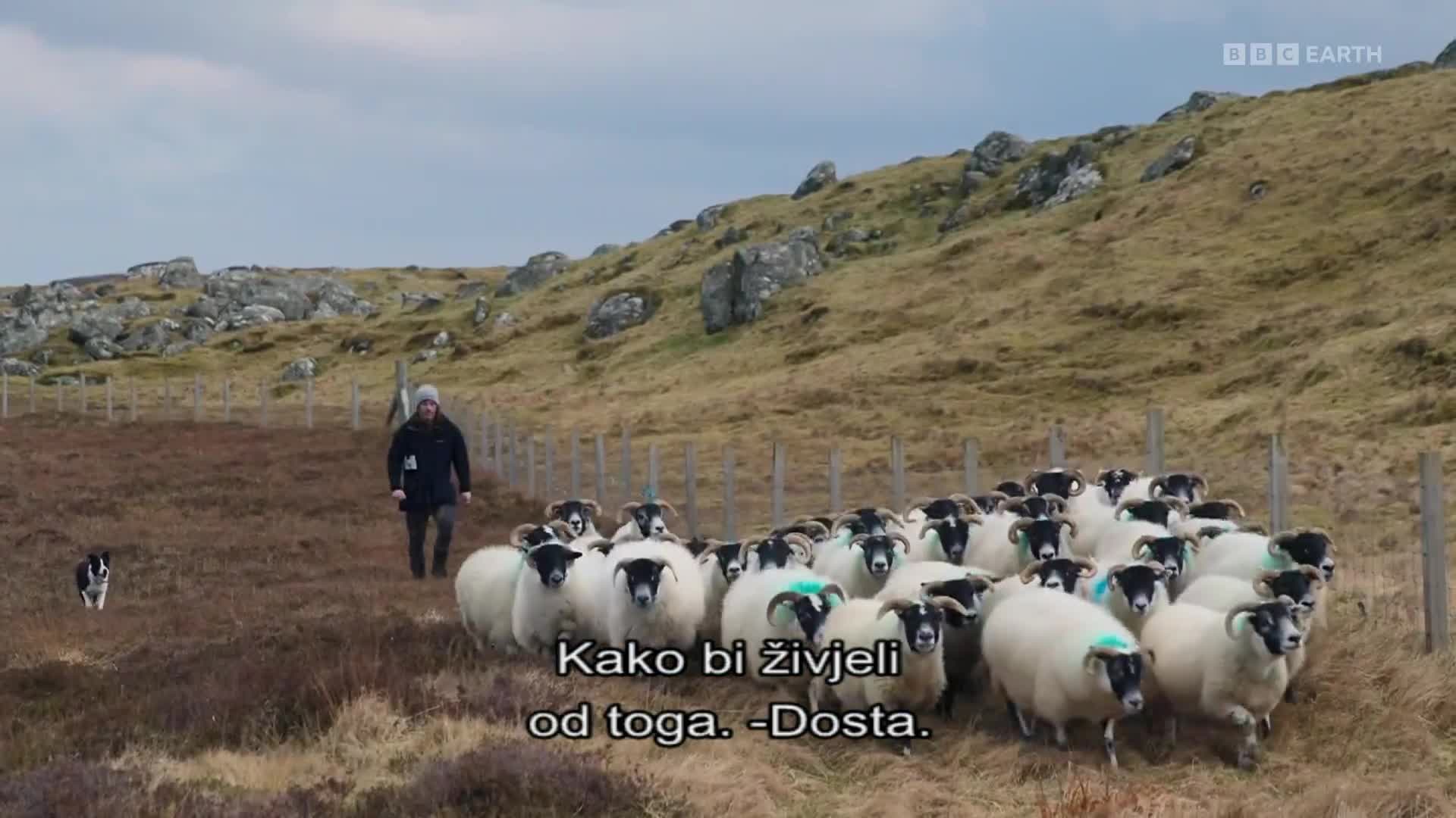 BBCEarth