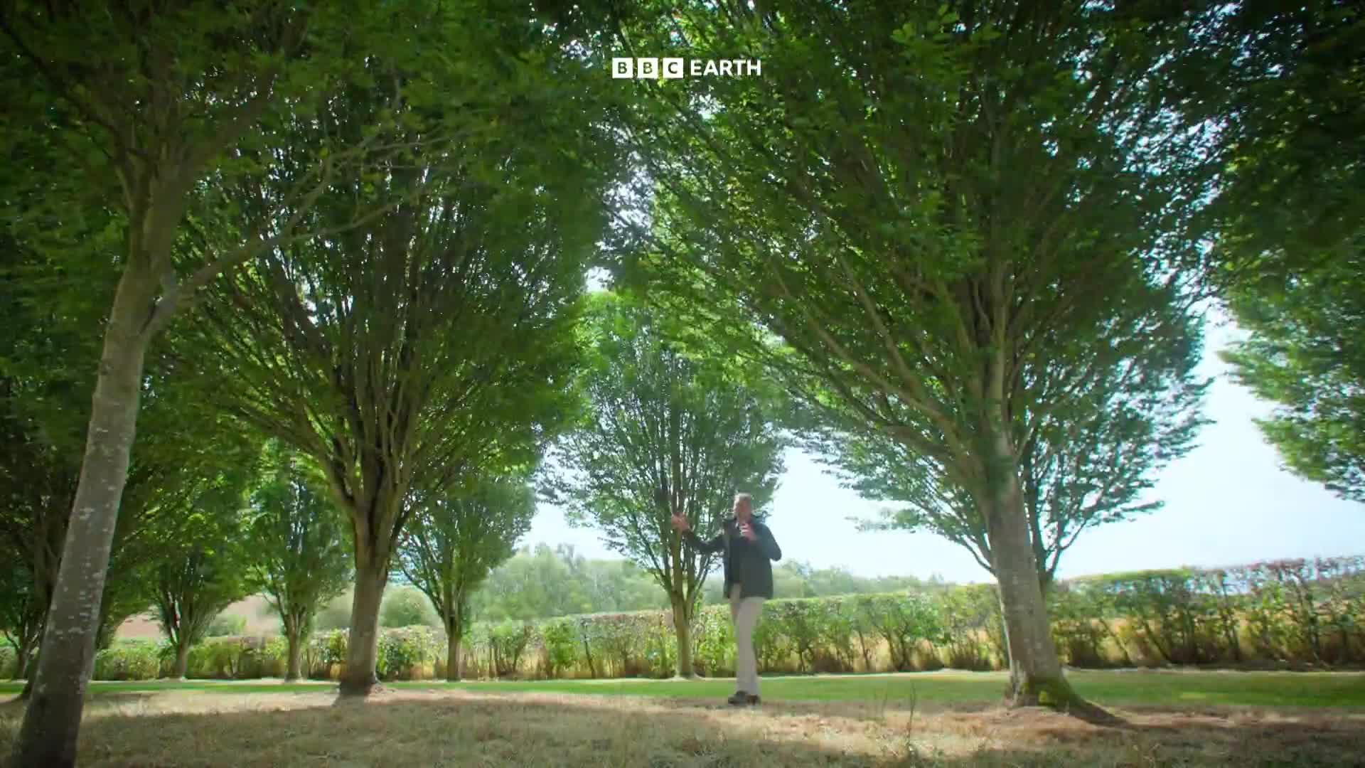 BBCEarth