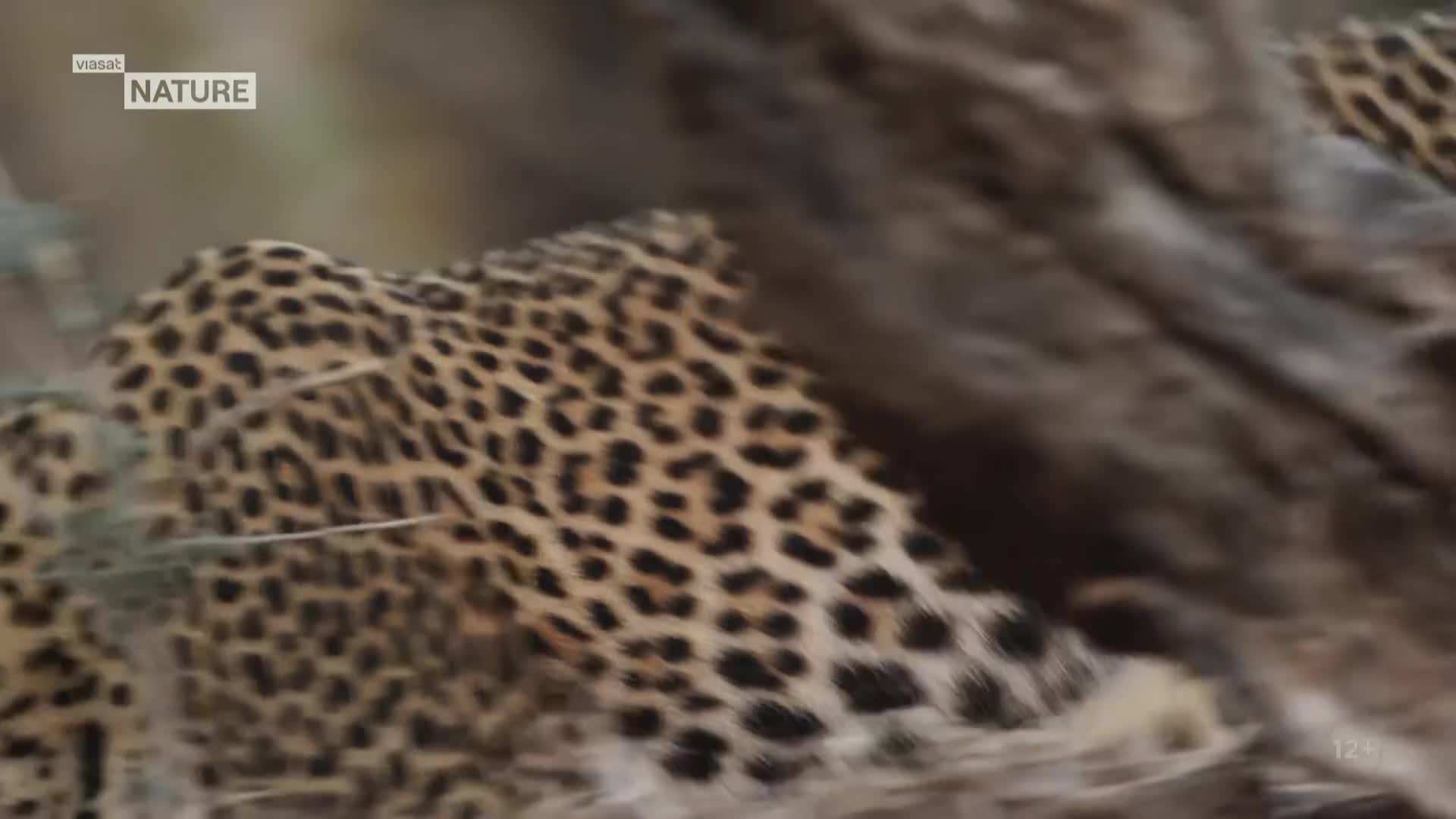 ViasatNature