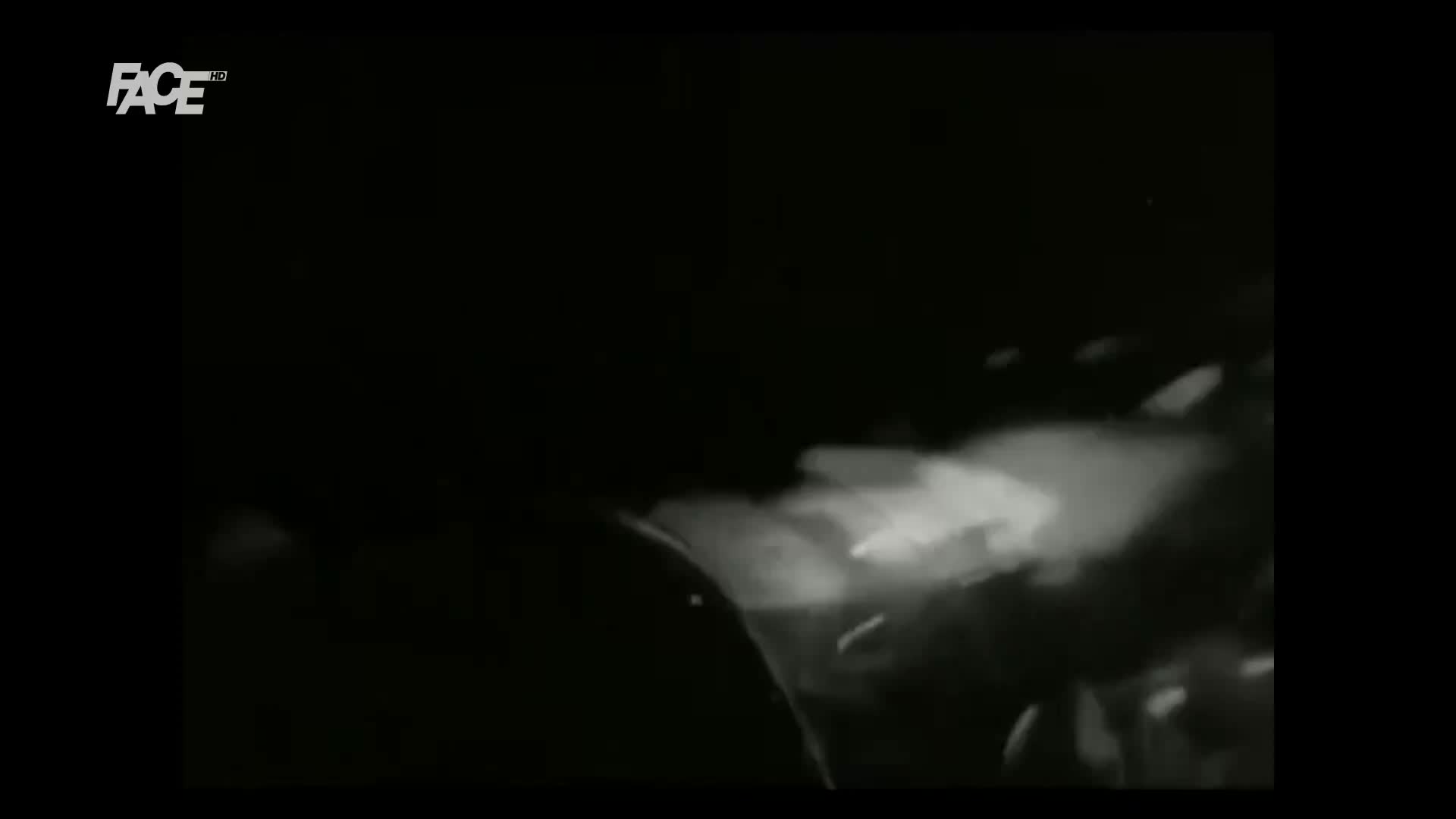 FaceTV