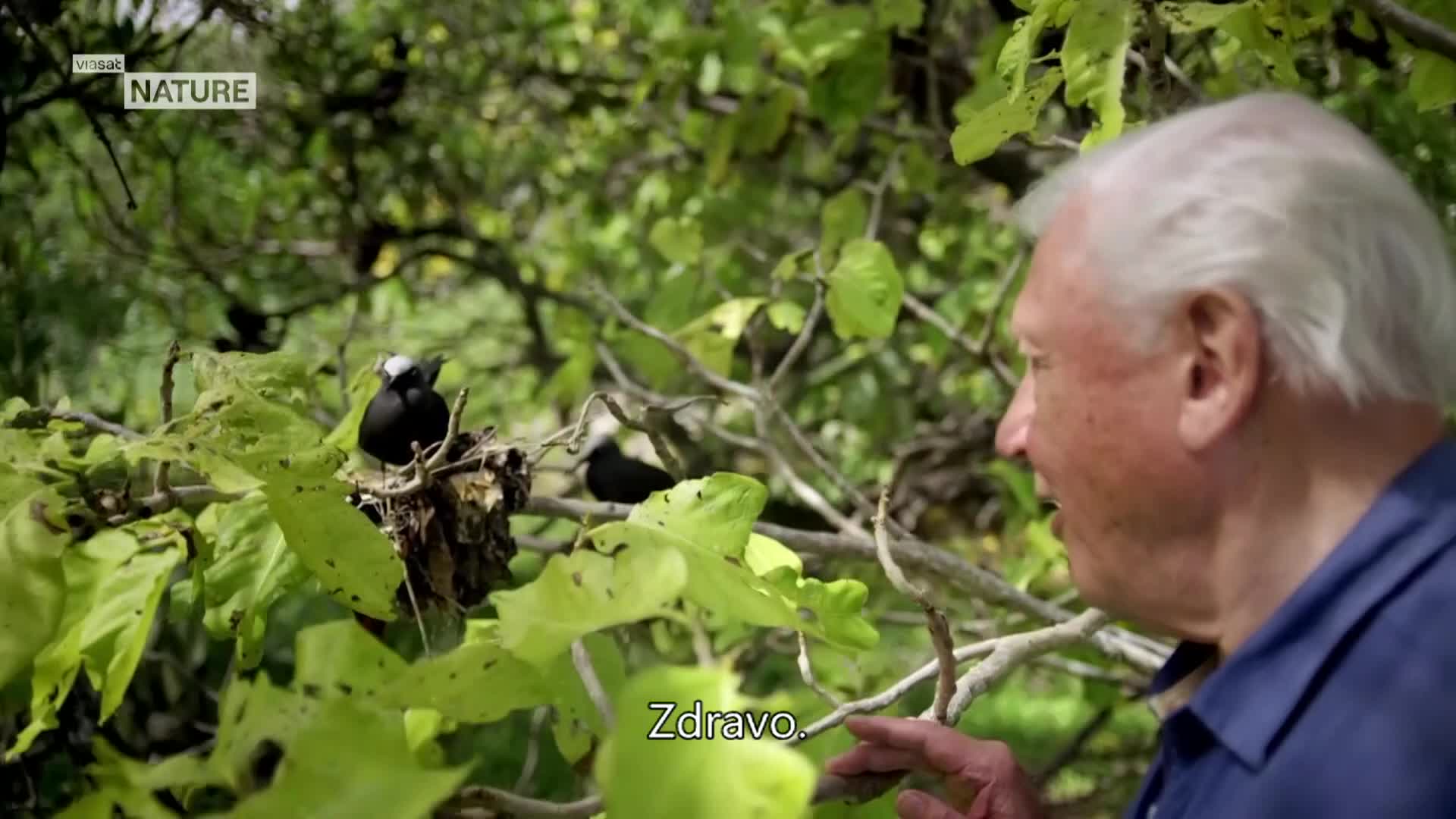 ViasatNature