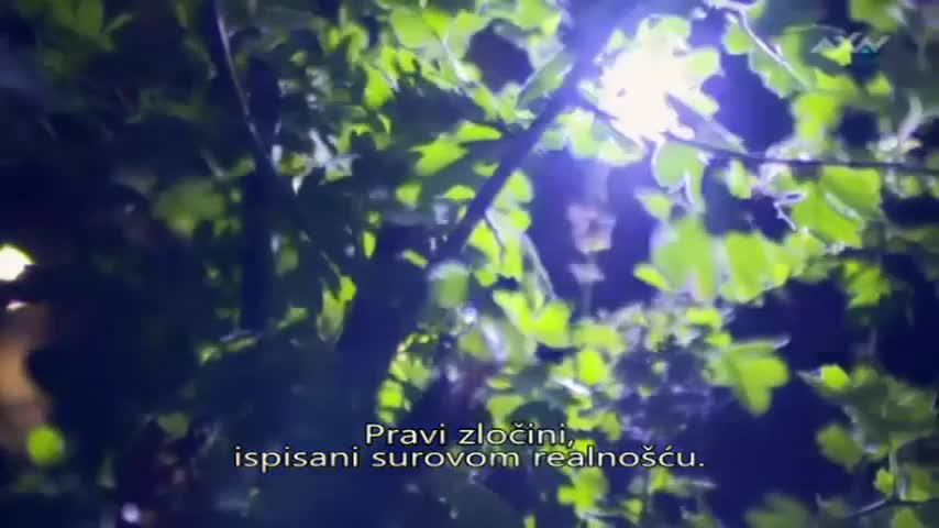 AXNSpin