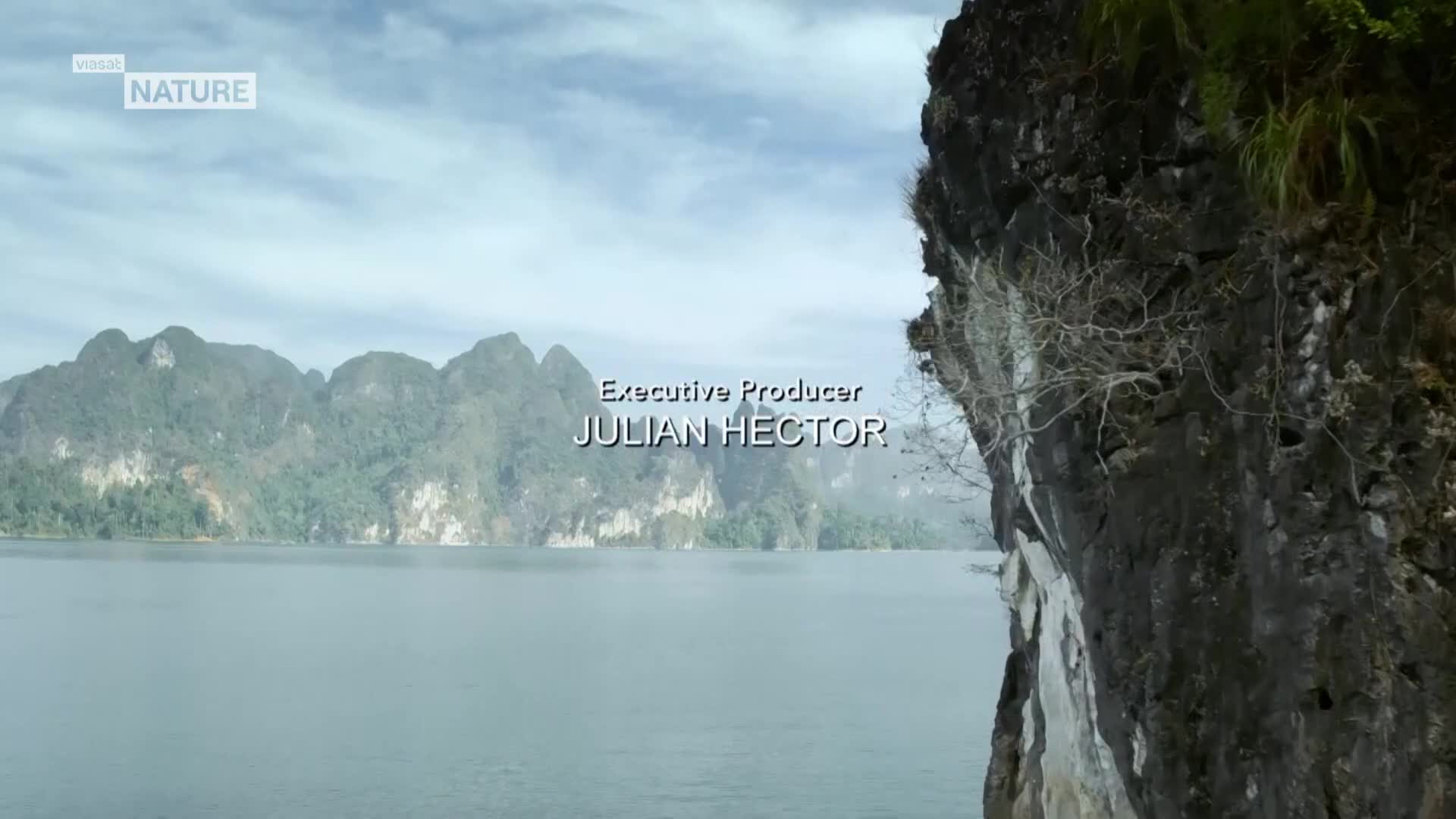ViasatNature
