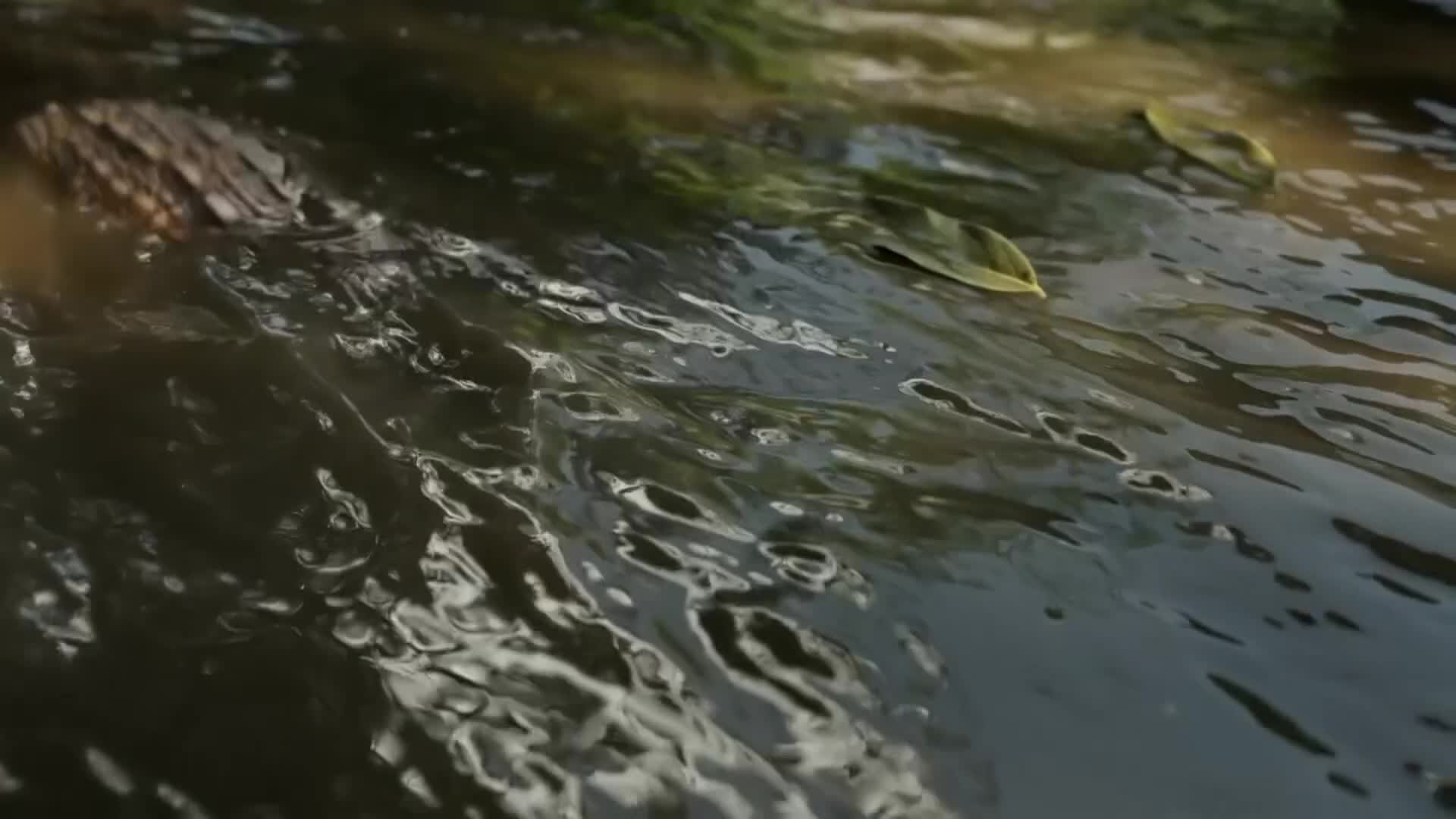 ViasatNature