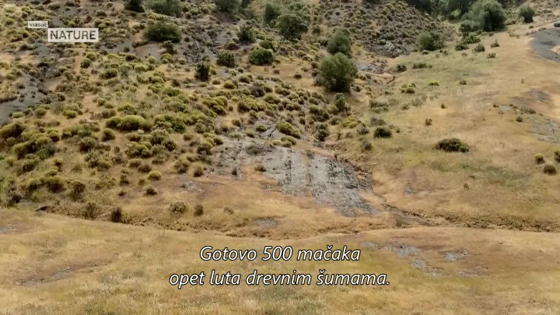 ViasatNature