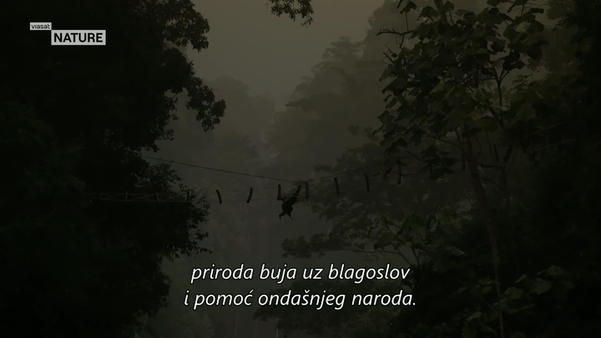 ViasatNature