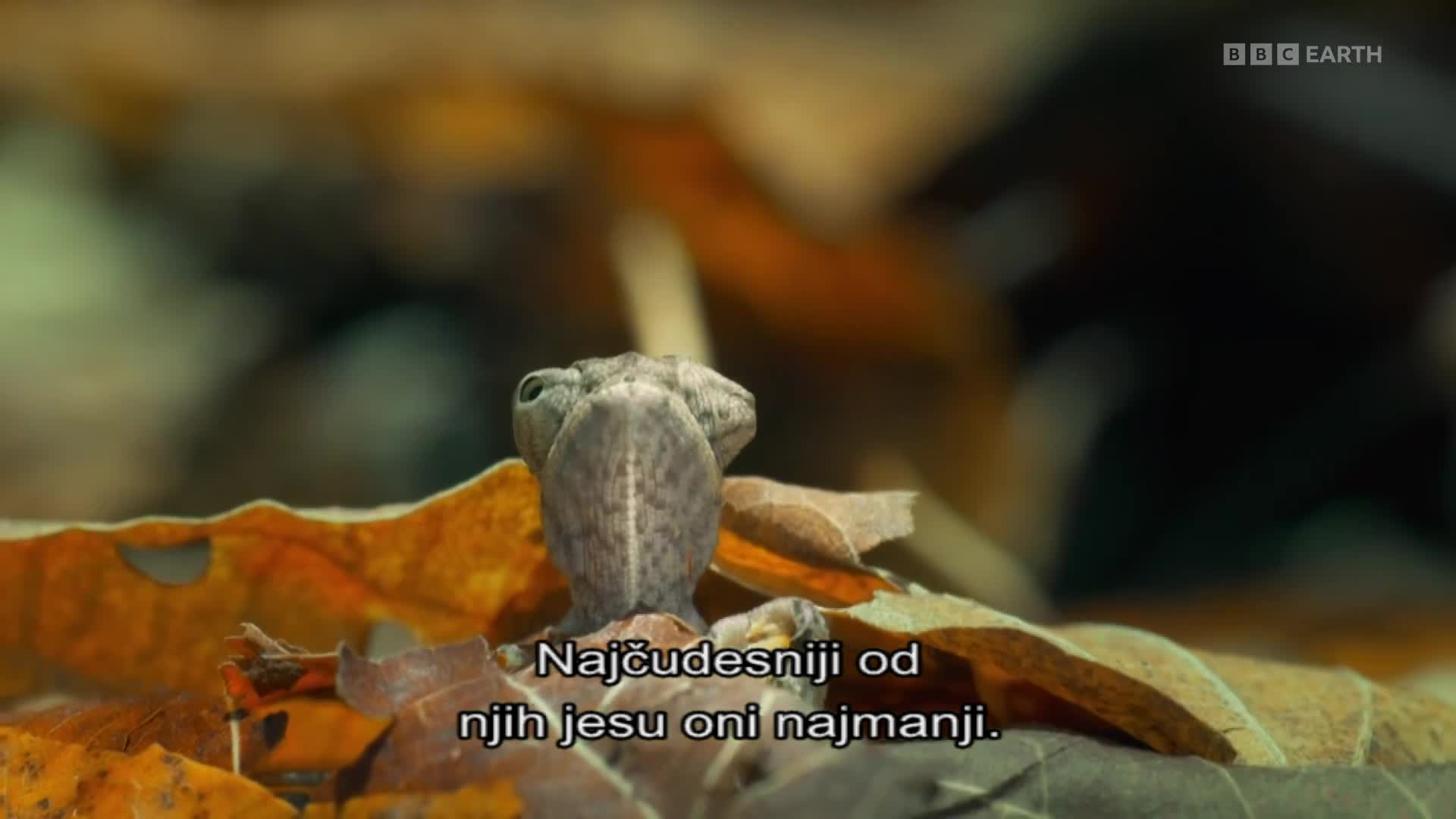 BBCEarth