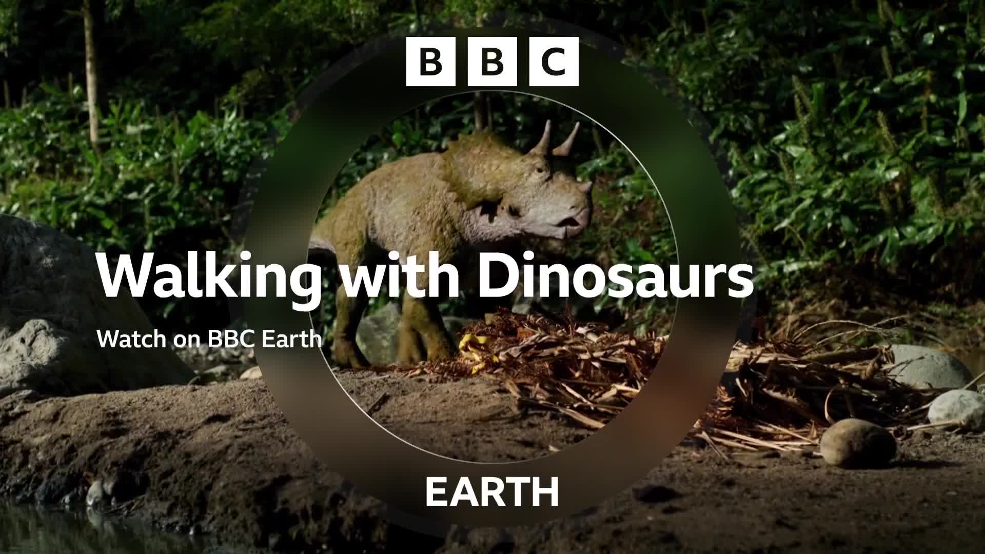 BBCEarth