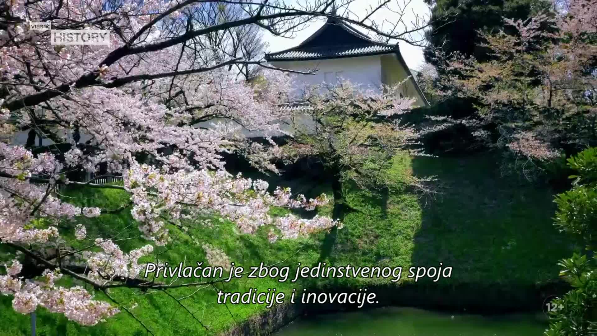 ViasatHistory