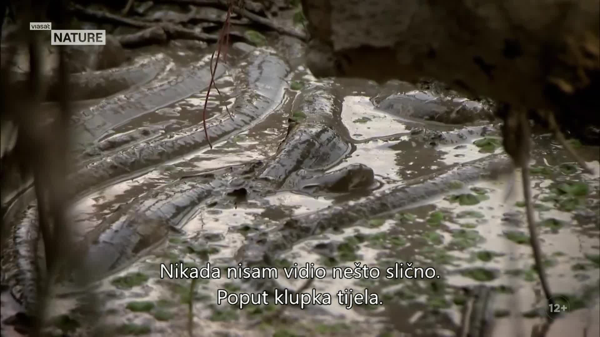 ViasatNature