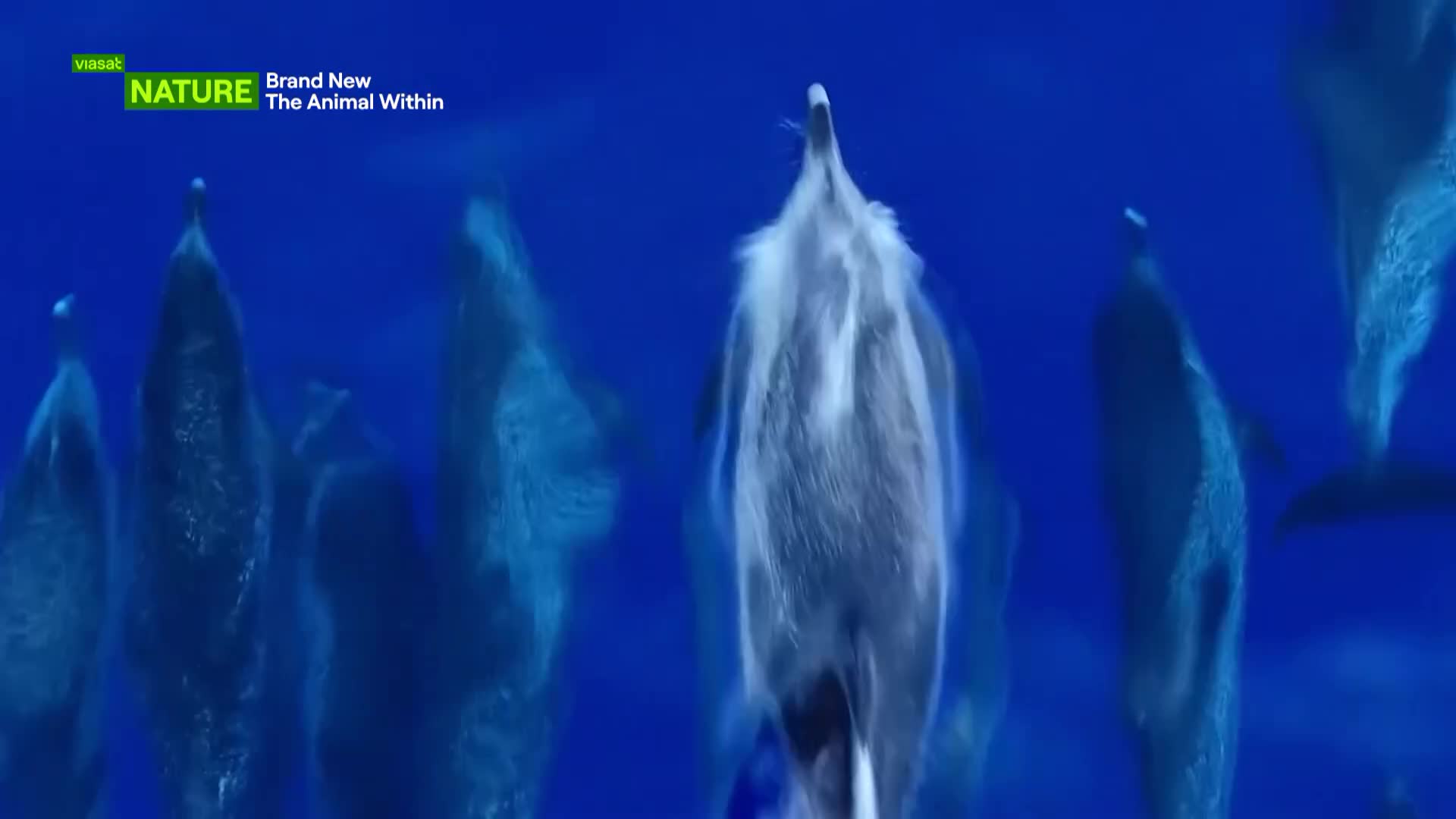 ViasatNature