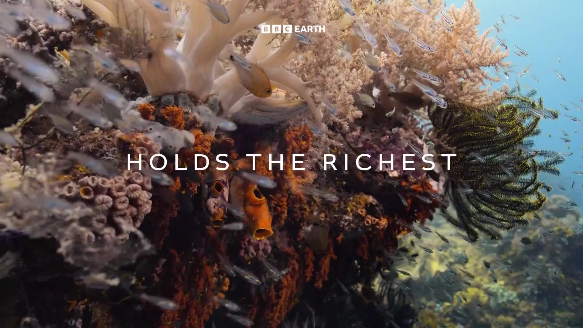 BBCEarth