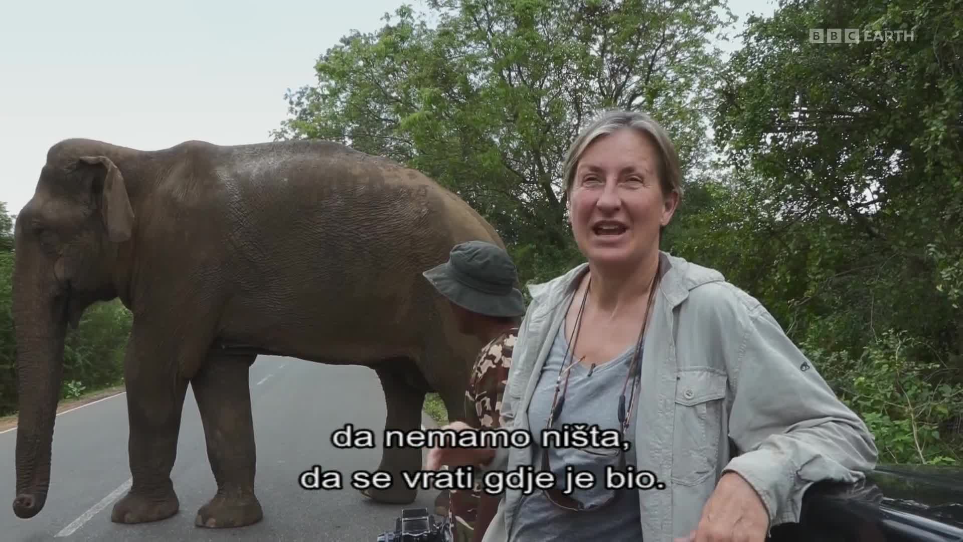 BBCEarth