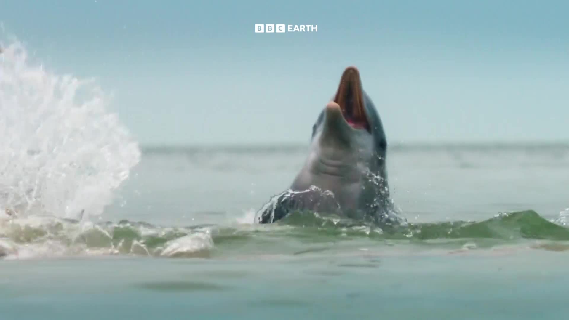 BBCEarth