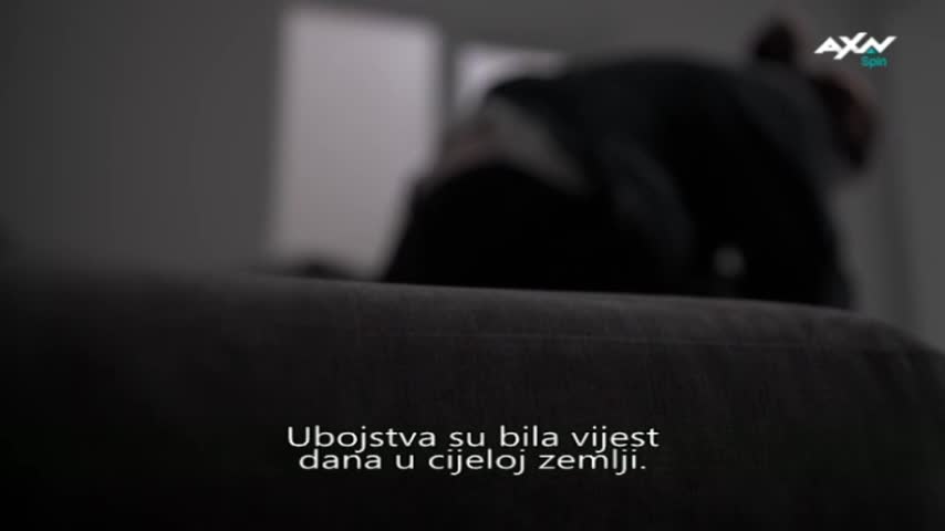 AXNSpin