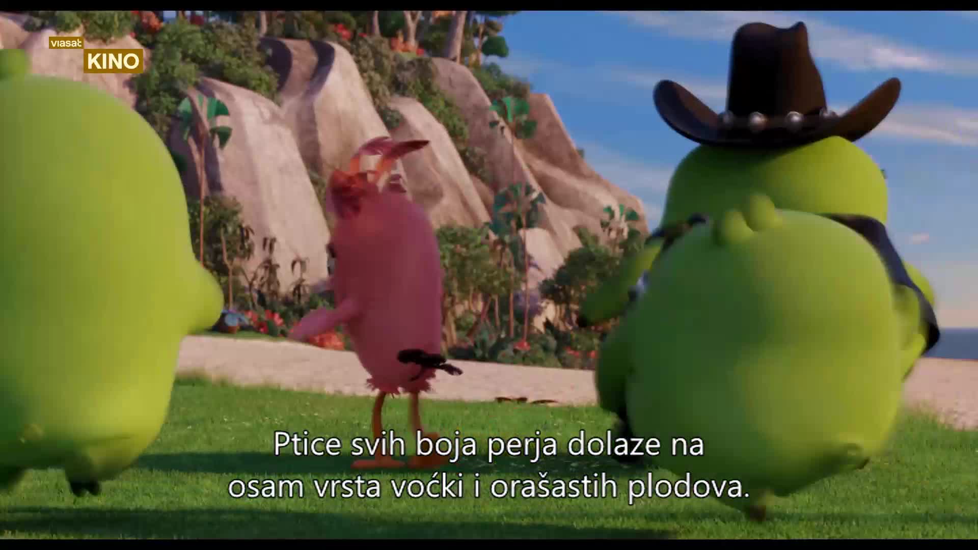 TV1000