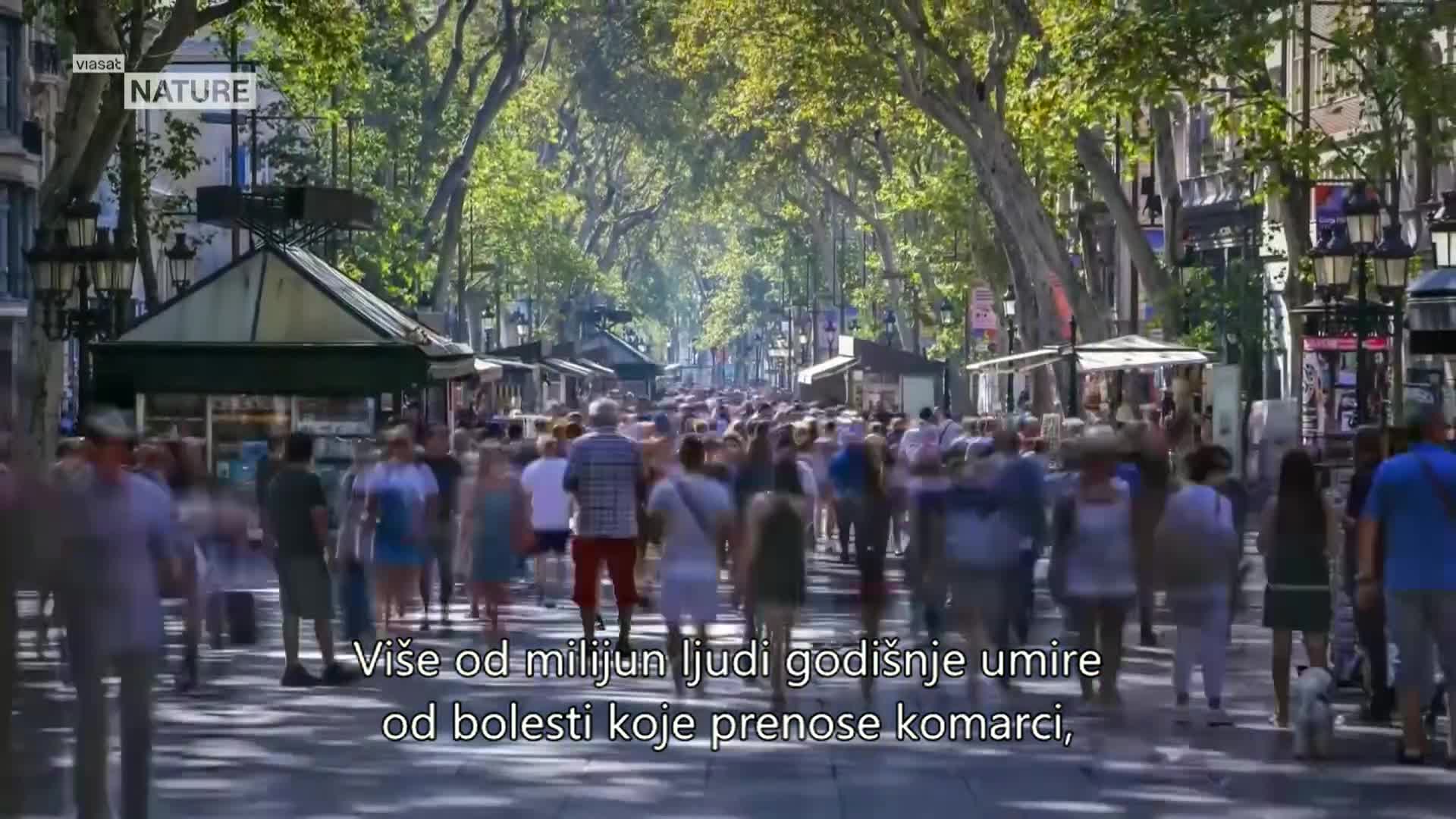 ViasatNature