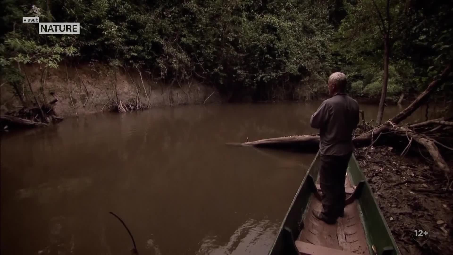 ViasatNature