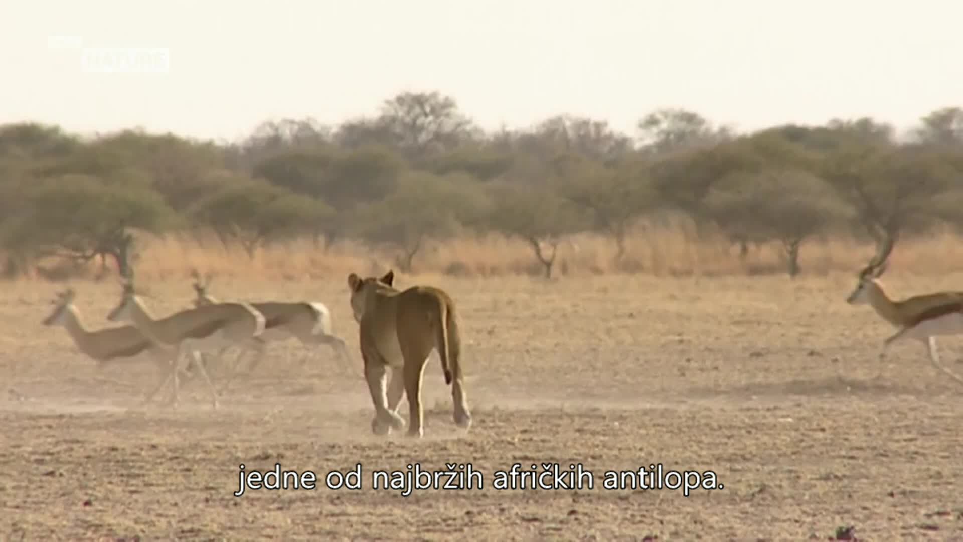 ViasatNature