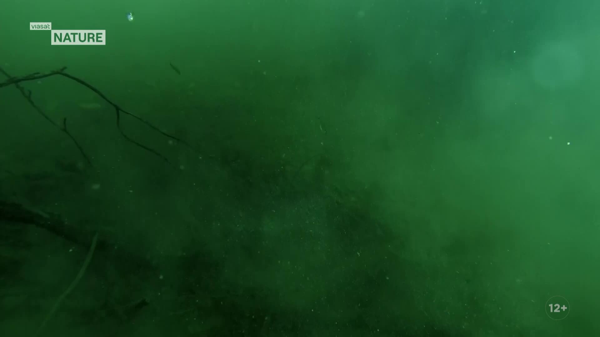 ViasatNature