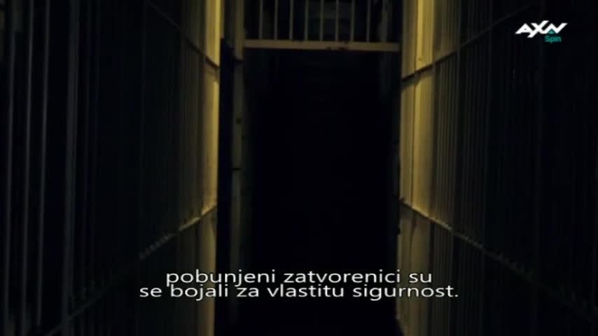 AXNSpin