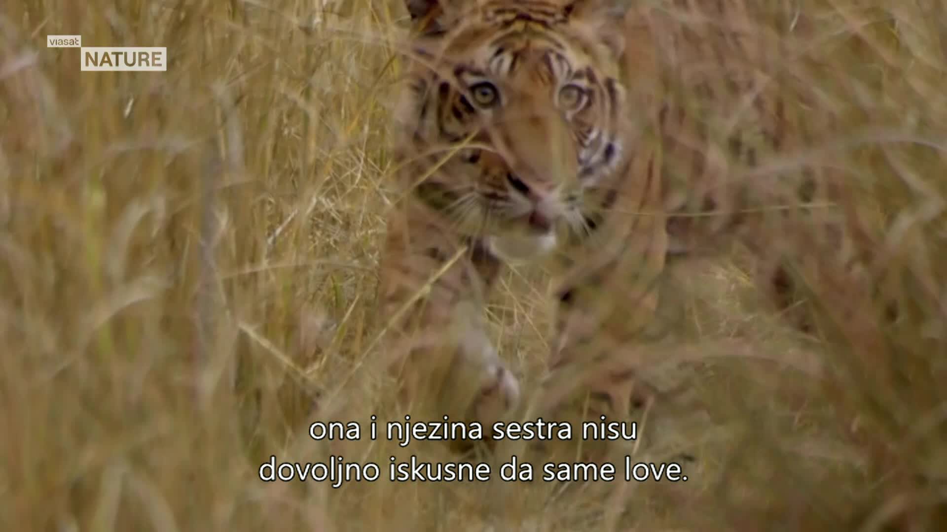 ViasatNature