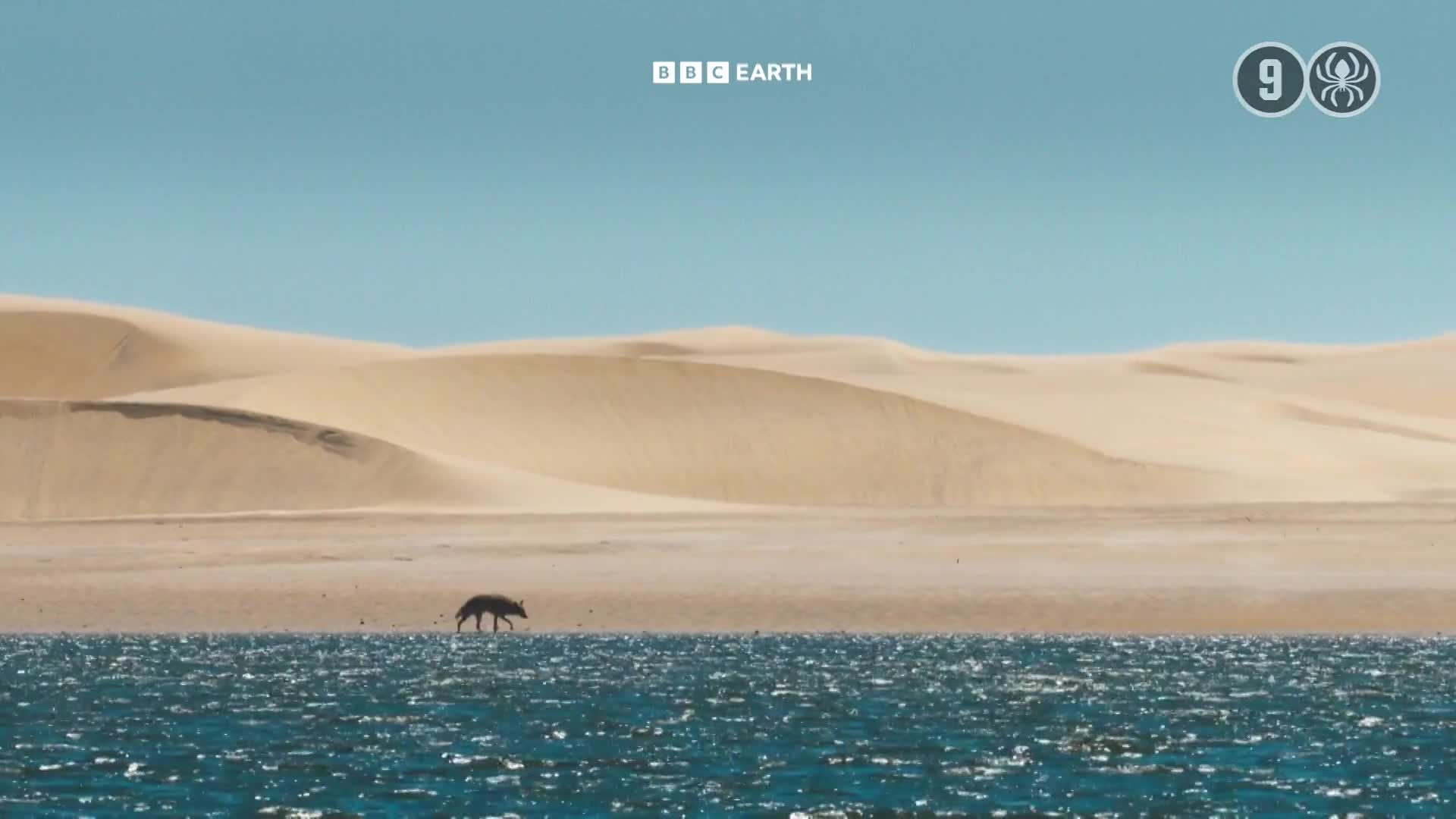 BBCEarth