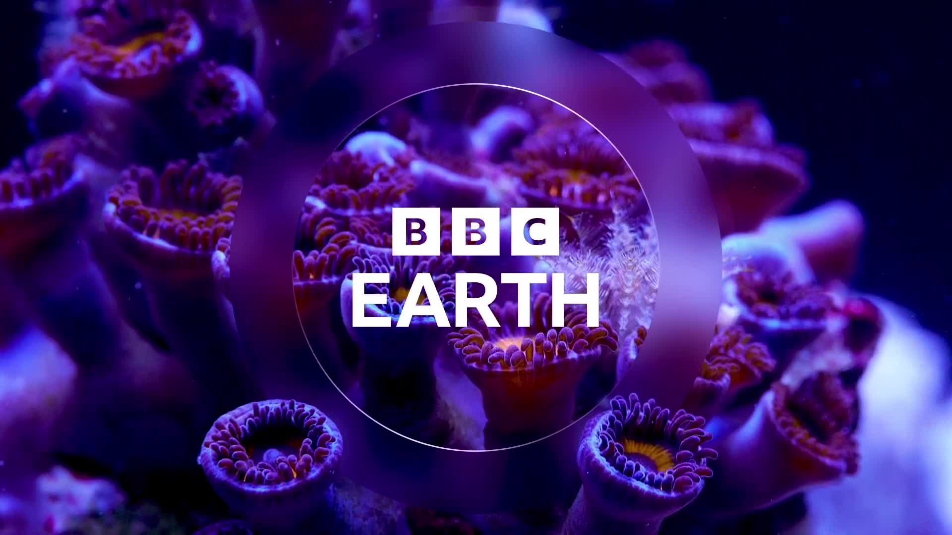 BBCEarth