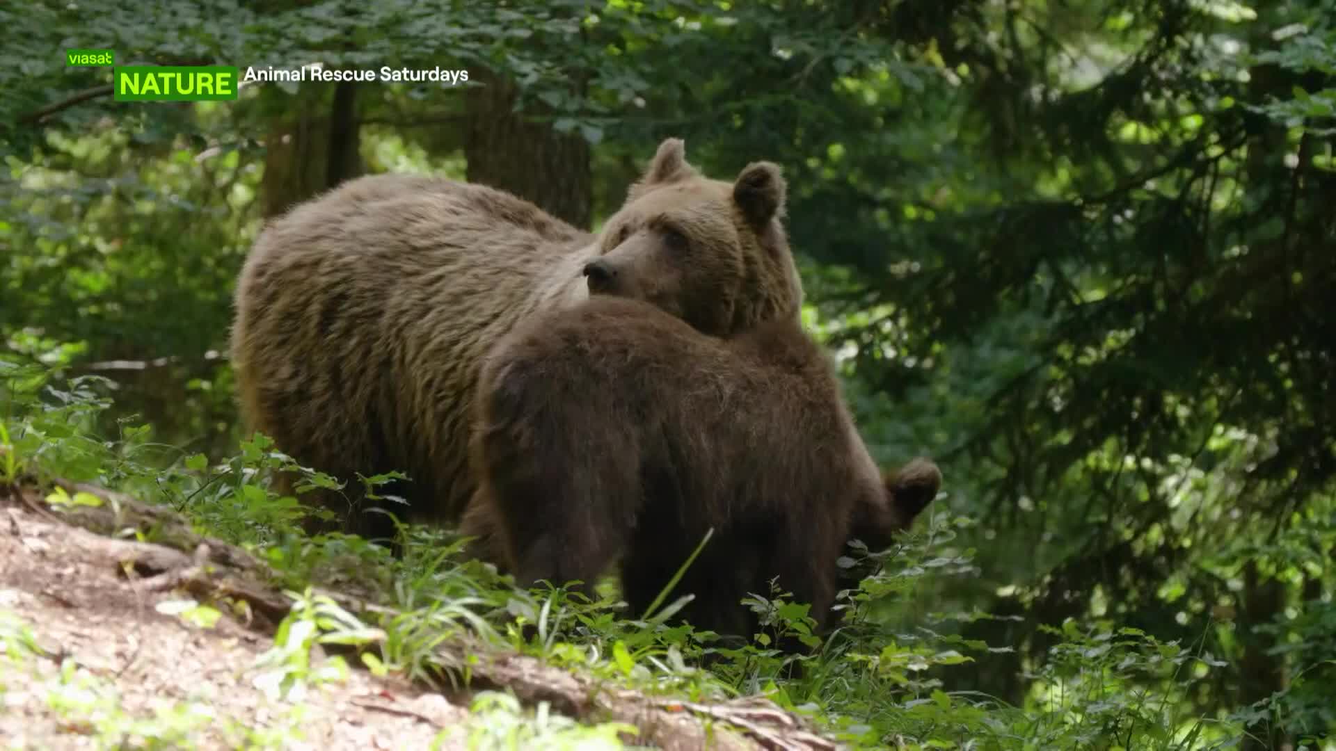 ViasatNature