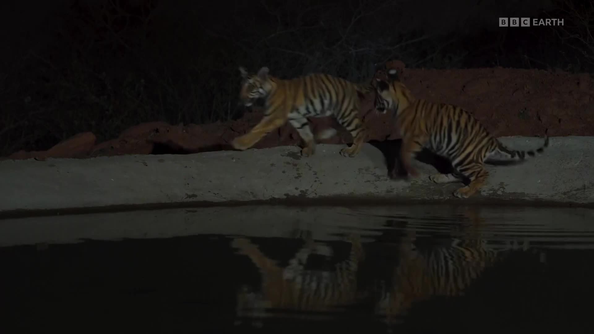 BBCEarth
