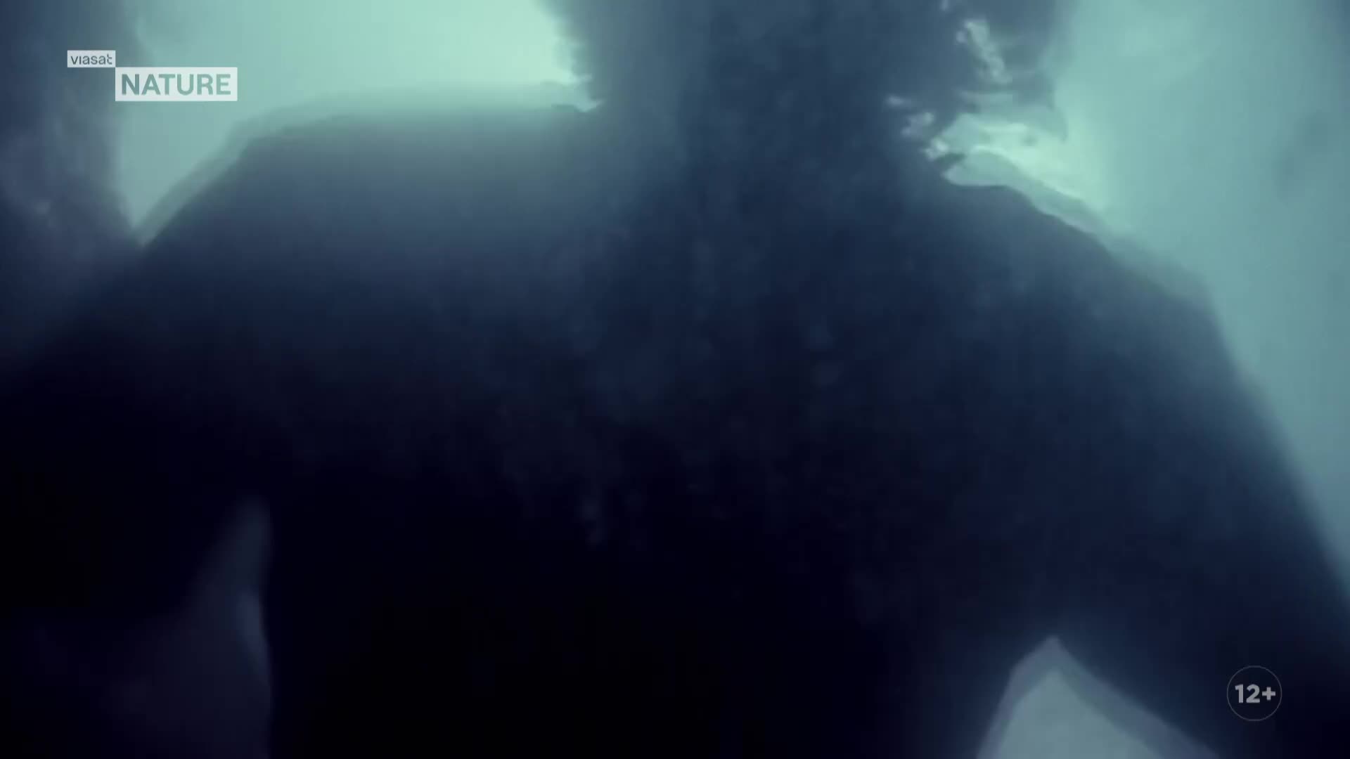 ViasatNature
