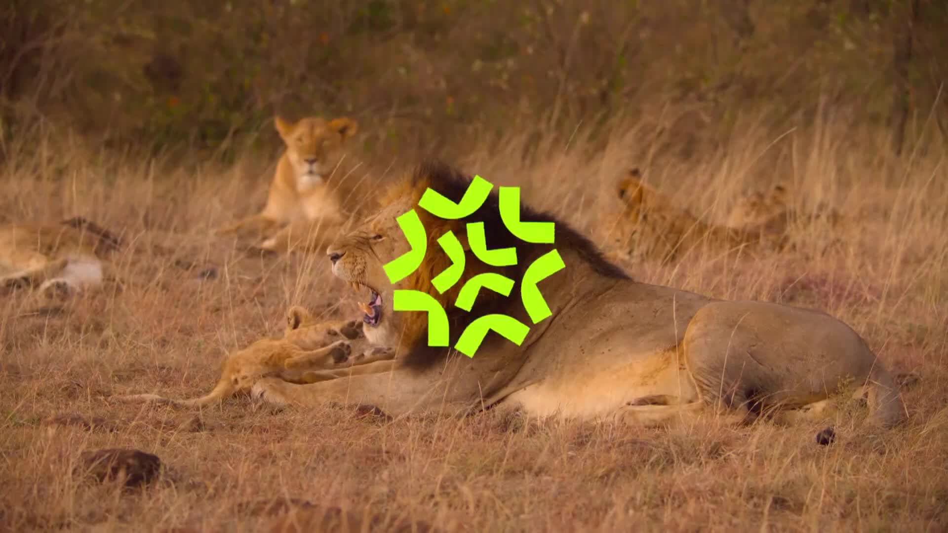 ViasatNature